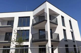 Wohnung mieten in Hans-Böckler-Straße 23, 64823 Groß-Umstadt, Helle hochwertige 3 Zimmerwohnung inkl EBK mit Terrasse und Garten