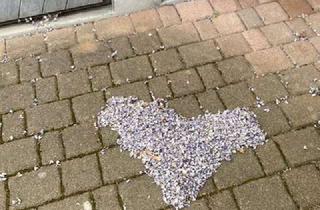 Haus kaufen in 36275 Kirchheim, ... Sie erahnen nicht, was Sie hier erwartet - ❤️-lich Willkommen