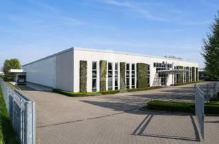Gewerbeimmobilie mieten in 50129 Bergheim, GEWERBEHALLE IN BERGHEIM | SOFORT VERFÜGBAR | MIETE | 6,00 M UKB | ANGERMANN NRW