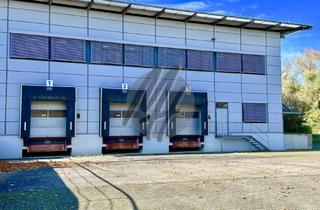 Gewerbeimmobilie kaufen in 56235 Ransbach-Baumbach, RAMPE + EBEN ✓ Gewerbeobjekt mit Lager (15.800 m²) & Büro-/Sozial