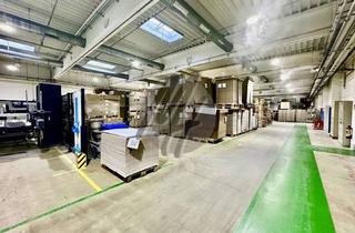 Büro zu mieten in 64646 Heppenheim, RAMPE + EBEN ✓ Lager-/Produktion (10.000 m²) & Büro-/Sozial (500 m²)
