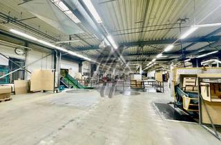 Büro zu mieten in 64720 Michelstadt, RAMPE + EBEN ✓ Lager-/Produktion (12.000 m²) & Büro-/Sozial (600 m²)