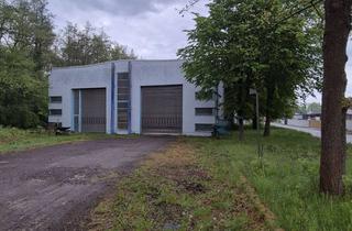 Gewerbeimmobilie kaufen in Straße Am Hirzberg 37, 99887 Georgenthal, Produktions-/ Lagerhalle in Georgenthal/Thür. Wald zu verkaufen