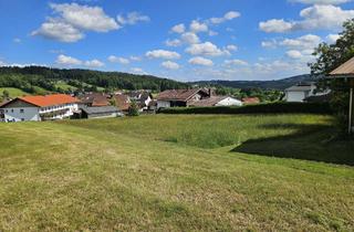 Grundstück zu kaufen in 94556 Neuschönau, NEUSCHÖNAU - BAUGRUND - erschlossen und beliebig teilbar