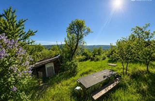 Grundstück zu kaufen in 70329 Hedelfingen, Gartengrundstück in S-Wangen: ca. 468 m² * Ausblick * Gartenhaus mit Terrasse * anfahrbar * Stlp.