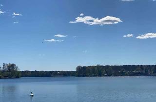Grundstück zu kaufen in Altbuchhorster Straße 20, 15537 Grünheide, Sonnengrundstück unweit des malerischen Peetzsee