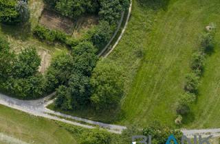 Grundstück zu kaufen in 75236 Kämpfelbach, 1.721 m² Freizeitgrundstück zur vielseitigen Nutzung in Pforzheim !