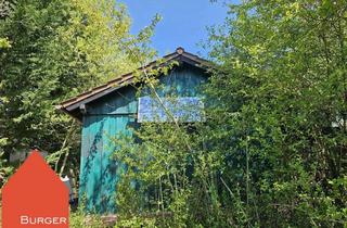 Grundstück zu kaufen in Eckhau, 75443 Ötisheim, Gruß von Dornröschen - Freizeitgrundstück in herrlicher Lage mit Gartenhaus im Eckhau in Ötisheim