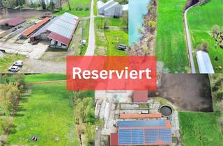 Lager kaufen in 88427 Bad Schussenried, Vielseitige Halle / Viehstall mit 35.000 m² Weidefläche und Photovoltaikanlage