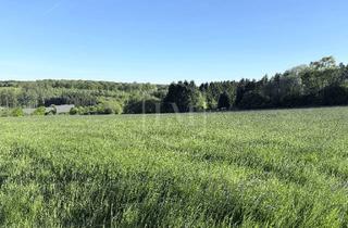 Immobilie kaufen in 58332 Schwelm, Grünlandparzellen in Schwelm