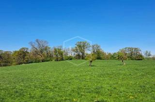 Immobilie kaufen in 52222 Stolberg, Land- und forstwirtschaftliche Liegenschaft in Stolberg