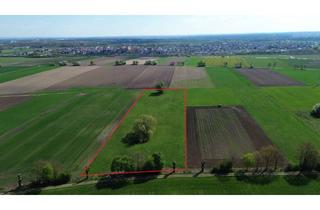 Immobilie kaufen in 85107 Baar-Ebenhausen, Leistungsstarke landwirtschaftliche im Donaumoos – Ackerland in Ebenhausen
