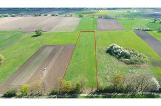Immobilie kaufen in 85107 Baar-Ebenhausen, Wertvoller Boden im Herzen Oberbayerns – Ackerfläche in Baar-Ebenhausen