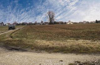 Immobilie kaufen in 85123 Karlskron, Verkauf einer attraktiven landwirtschaftlichen Ackerfläche in Karlskron