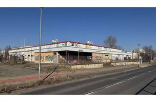 Gewerbeimmobilie kaufen in 03050 Sachsendorf, Gewerbestandort mit viel Platz!