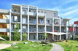 Wohnung mieten in Kastanienweg 29, 48231 Warendorf, Mitmachen und Wohnen im Mehrgenerationenprojekt
