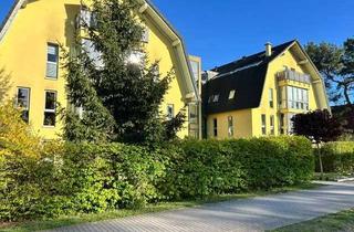 Wohnung mieten in 15738 Zeuthen, Traumhafte 2-Zimmer-Dachgeschosswohnung mit Grünblick