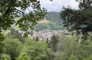 Wohnung mieten in 75378 Bad Liebenzell, Ruhig wohnen im Grünen – großzügige 1-Zi-Wohnung mit großer Terrasse & Carport in Bad Liebenzell