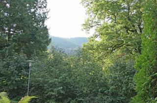 Wohnung mieten in Hölderlinstr. 49, 75378 Bad Liebenzell, Helle 1-Zimmer-Wohnung mit großer Terrasse, neuen Fenstern & Stellplatz in Bad Liebenzell