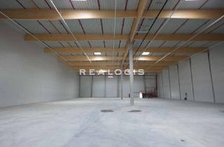 Gewerbeimmobilie mieten in 63128 Dietzenbach, Provisionsfrei: Lager/ Logistik - 3x Rampe - 7,50 m UKB