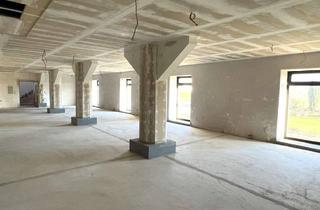 Büro zu mieten in 34246 Vellmar, Lager, Tagespflege, Büro... alles ist möglich! Der Eigentümer ist offen für Ihre Ideen und Wünsche