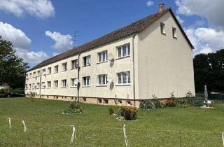 Anlageobjekt in 39264 Steutz, Mehrfamilienhaus sucht neuen Anstrich!