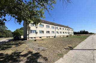Anlageobjekt in 39264 Steutz, Mehrfamilienhaus sucht neuen Anstrich!