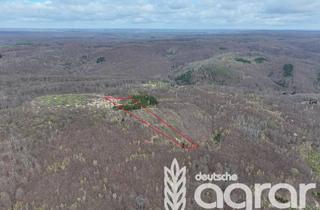 Grundstück zu kaufen in 06526 Sangerhausen, Wald und Aufforstungsfläche (ca. 1,5 ha) bei Sangerhausen