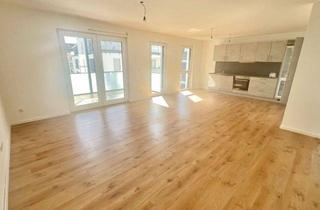 Wohnung mieten in 77933 Lahr, Zentrumsnahe 3 Zimmer NB Wohnung mit EBK, großem Balkon und TG