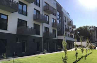 Wohnung kaufen in Talstraße 21b, 13189 Pankow, Dachgeschosswhg. mit Süd-West Terrasse und EBK direkt an Prenzl. Berg