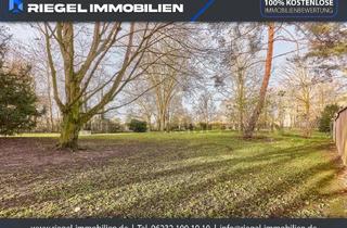 Wohnung kaufen in 68169 Neckarstadt, Sie hier? Wir auch! Ebenerdiges Wohnen mit Hausgefühl, Wintergarten, 2 Bäder und TG-Stellpl.