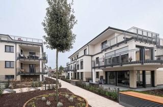 Penthouse kaufen in Bahnhofstr. 42 b, 67251 Freinsheim, Barrierefreie Penthouse-Wohnung mit Dachterrasse – ideal für Eigennutzer und Kapitalanleger