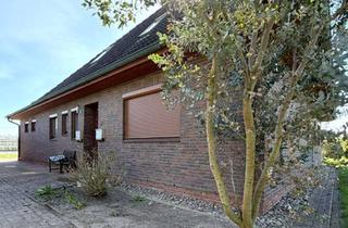 Wohnung mieten in Elversweg 109, 21037 Ochsenwerder, Helle 2-Zimmer-Wohnung mit sonniger Dachterrasse