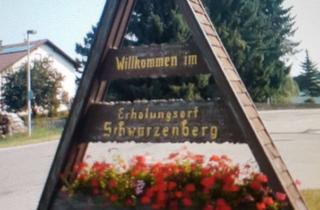 Wohnung mieten in Hirschweg, 75328 Schömberg, Modernisierte 2-Zimmer-Wohnung mit Einbauküche in Schömberg-Schwarzenberg