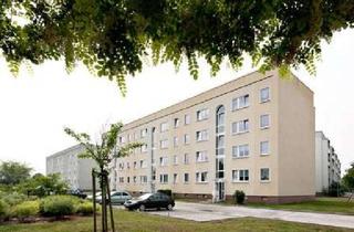 Wohnung mieten in Hallesche Straße 234, 06295 Lutherstadt Eisleben, Wohnung mit Aussicht- Komplett renoviert- Einbauküche auf Wunsch!