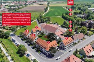 Wohnung mieten in Birklinger Straße 28 a, 97346 Iphofen, Barrierefreie 3-Zimmer-EG-Wohnung mit Terrasse, Carport und Stellplatz