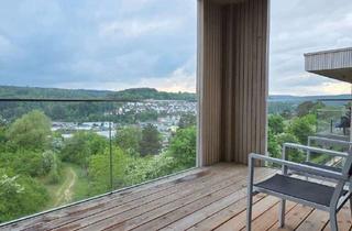 Wohnung mieten in 89134 Blaustein, Sonnige 3-Zimmer-Wohnung im KfW-Haus 40 mit Küche, Stellplatz, Balkon und tollem Blick in Blaustein