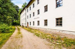 Haus kaufen in 93179 Brennberg, Historisches Mühlenjuwel am Bachlauf