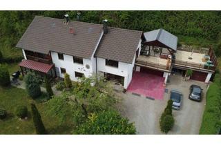 Haus kaufen in 89420 Höchstädt, Charmantes Zweifamilienhaus mit Blick auf das Höchstädter Schloss - Nutzen Sie Ihre Chance!