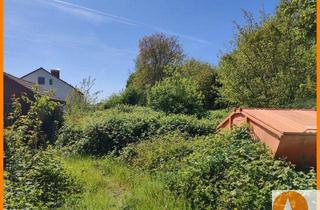 Grundstück zu kaufen in 33790 Halle, Abbruch mit großem ( Bauland) Grundstück