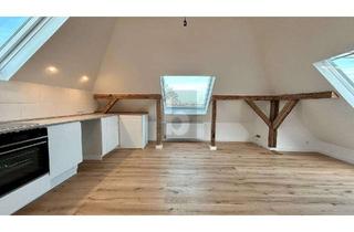 Penthouse kaufen in 21493 Schwarzenbek, MINIATUR PENTHOUSE MIT LOFT CHARAKTER