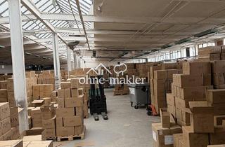 Büro zu mieten in 68519 Viernheim, Preisgünstige Industriehalle in Viernheim - kurzfristig verfügbar & ohne Provision
