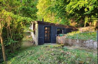 Haus kaufen in An Millessen 30, 66701 Beckingen, Natur pur: Wohngebäude + Bauplatz + 5ha Wald in Beckingen