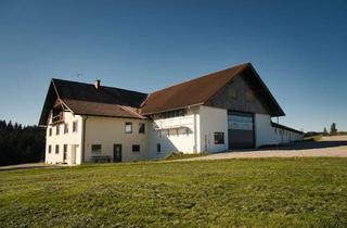 Bauernhaus kaufen in 87487 Wiggensbach, Bauernhaus in Alleinlage mit 4.000 m² Grund bei Kempten Gewerbe- bzw. Lagerfläche 953 m²
