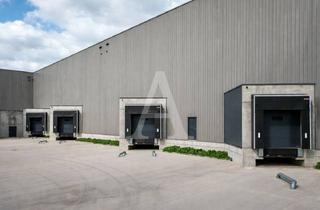 Gewerbeimmobilie mieten in 50169 Kerpen, LAGER | LOGISTIK IN KERPEN | SOFORT VERFÜGBAR | MIETE | ANGERMANN NRW