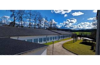 Gewerbeimmobilie mieten in 23970 Friedenshof, Günstige Flächen für Start Up´s und Vertical Farming - Wohnmöglichkeit auf Gelände vorhanden