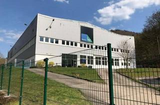 Gewerbeimmobilie kaufen in Meininger Straße 51, 98544 Zella-Mehlis, Industriehalle mit Nebengebäuden