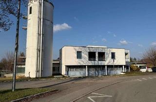 Gewerbeimmobilie mieten in 71063 Sindelfingen, Produktions-/Lagerhalle zur Vermietung