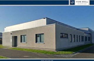Büro zu mieten in 38871 Ilsenburg, TOP Gewerbefläche mit Büro und Industriehalle in Ilsenburg / Harz zu vermieten