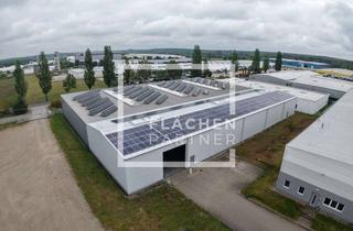 Gewerbeimmobilie mieten in 39288 Burg, Burg – 3104 m² – Kalthalle zur Miete